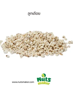 ลูกเดือย